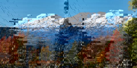 Ruapehu Deals