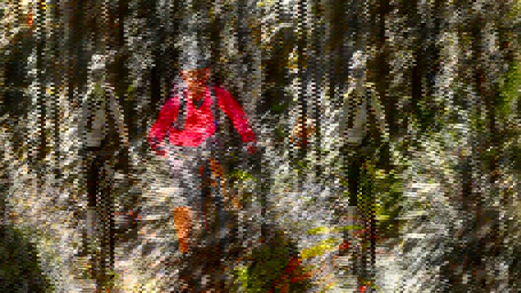 Woman mountain biking the trails in Ruapehu - Visit Ruapehu